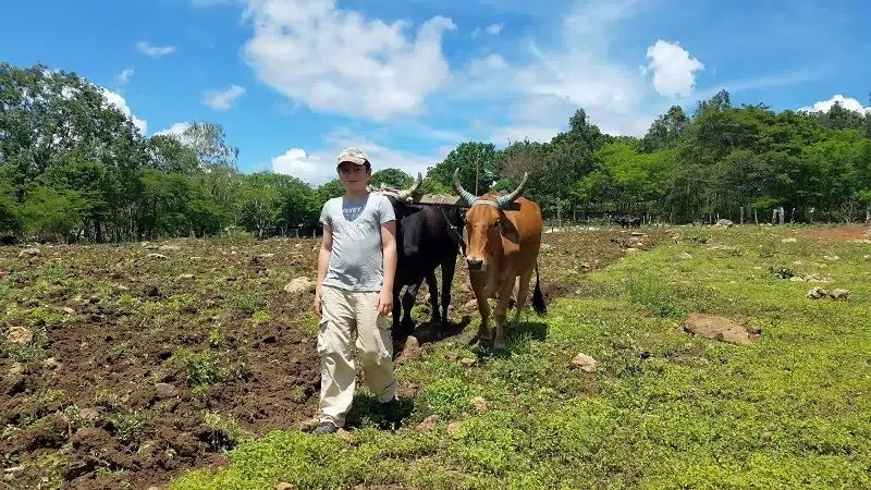Lluvia se han alejado y familias campesinas del norte se preocupan por siembra de postrera