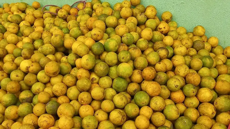 Pobladores de Juigalpa a la expectativa por los precios de productos de la purísima