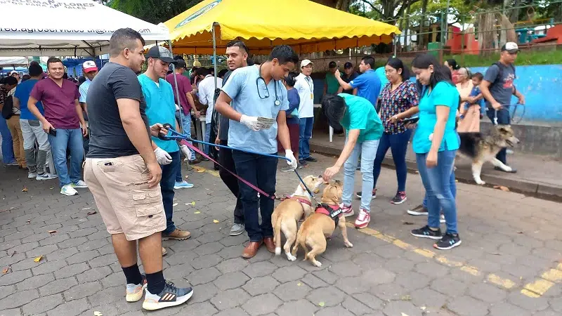 Pobladores de Camoapa asisten con sus mascotas a clínica móvil veterinaria