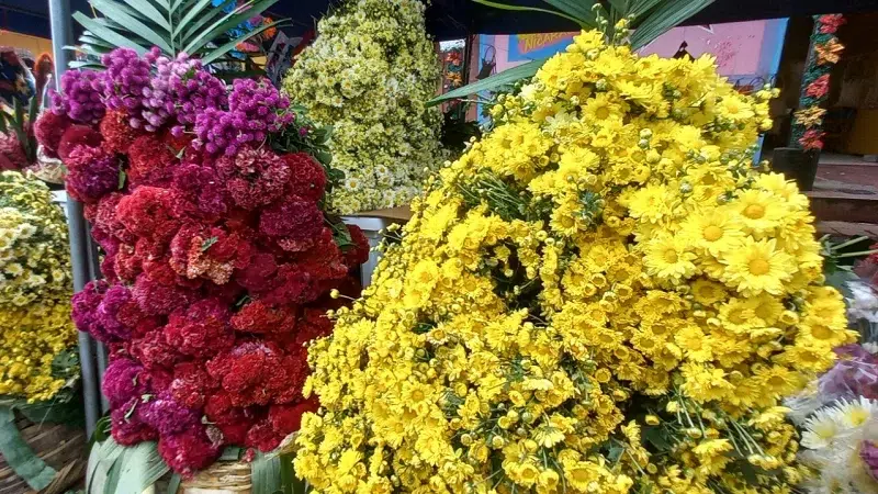 Arreglos florales naturales y artificiales están caros en Juigalpa