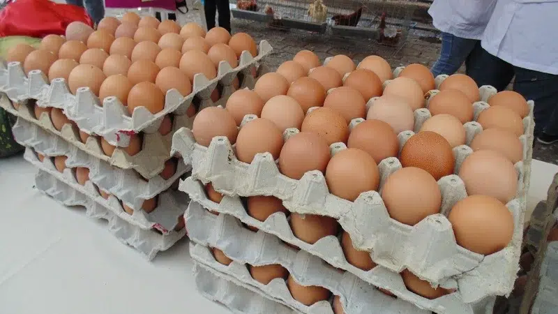 Cajilla con huevos se compra en Juigalpa en 175 córdobas