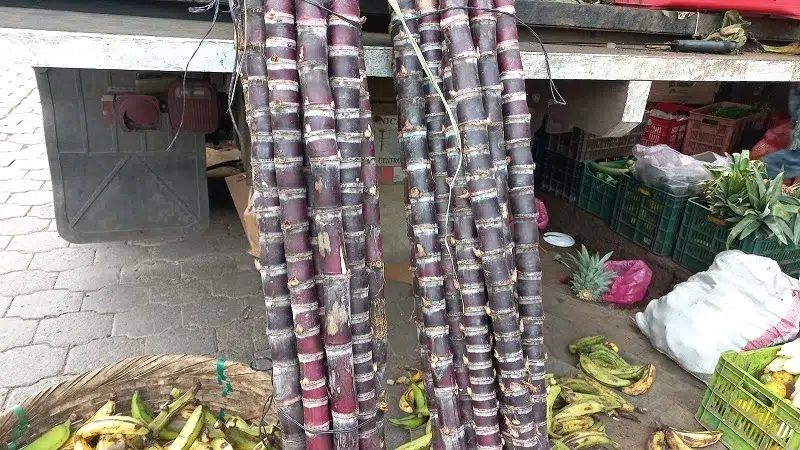 Productos para el tradicional paquete de la purísima aumenta su precio en el mercado de Juigalpa