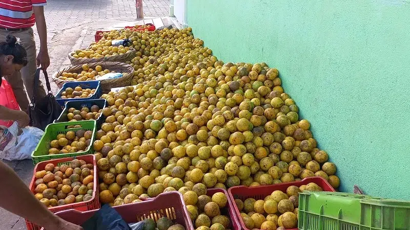 La docena de naranja dulce y grande se vende a 40 córdobas y la pequeña la pueden llevar hasta en 30 córdobas.