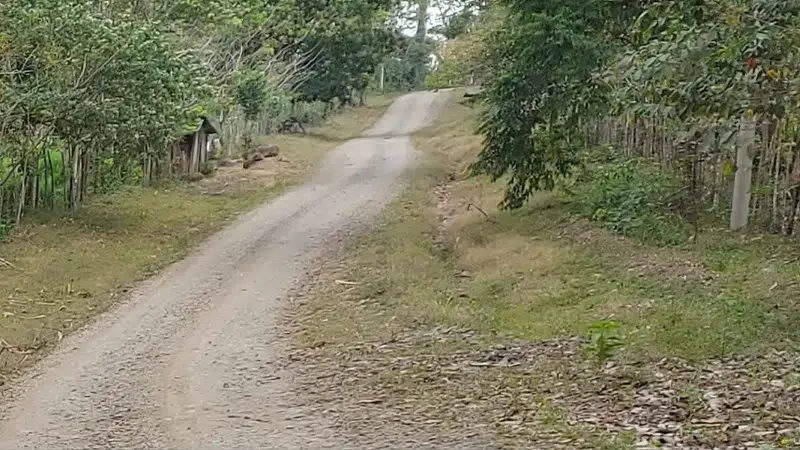 Población solicita a autoridades revisión de unidades de transporte para evitar accidentes