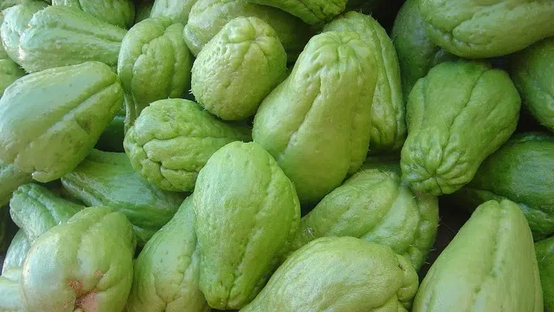 El chayote y el pepino se compran caro en el mercado local de Camoapa