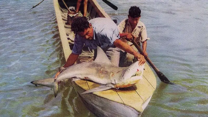 ¿Qué fue el del Tiburón de agua dulce que habitó el Gran Lago de Nicaragua?