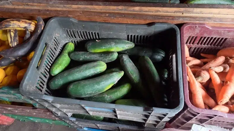 El pepino y el chayote, a partir de este lunes, subieron de precio en comparación a la semana pasada.