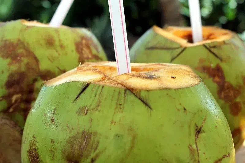 Los derivados del coco podrían subir de precio en Nicaragua ante la escasez de esta fruta