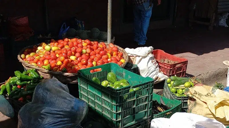 La libra tomates se compra en 10 córdobas y no ha sufrido variación en el precio en la última semana