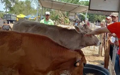 Refuerzan aprendizajes a pequeños productores de Chontales