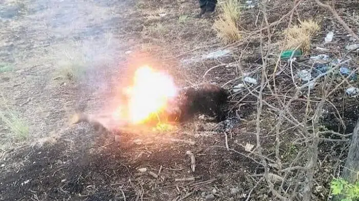 Identifican a la mujer asesinada tras pegarle fuego en Matagalpa