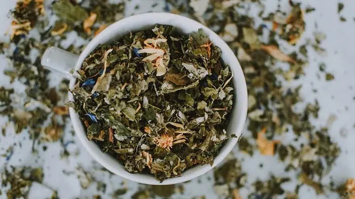 Abuelas recomiendan hierbas y remedios caseros para atacar enfermedades respiratorias con menos dinero