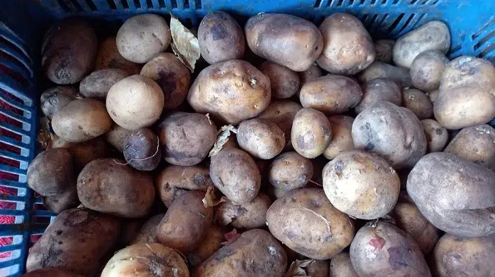 Lluvias descontrolan los precios de las frutas y verduras en el Mercado Central de Juigalpa