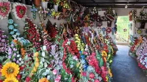 Floristerías de Camoapa ajustan precios para el día de los difuntos
