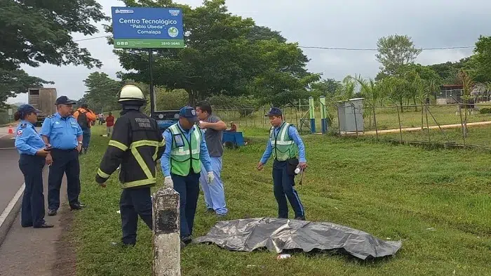 Vigilante pierde la vida al ser arrollado por bus de transporte colectivo