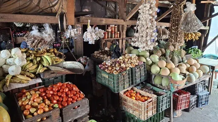 Aumenta el precio de la cebolla en Camoapa y comerciantes explican razones