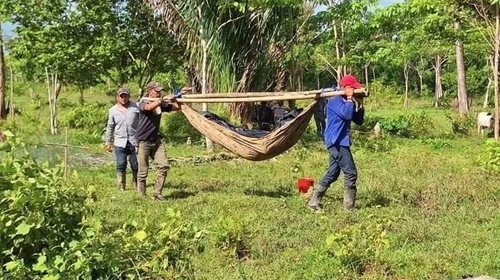 Joven campesino es asesinado a machetazos en La Cruz de Río Grande