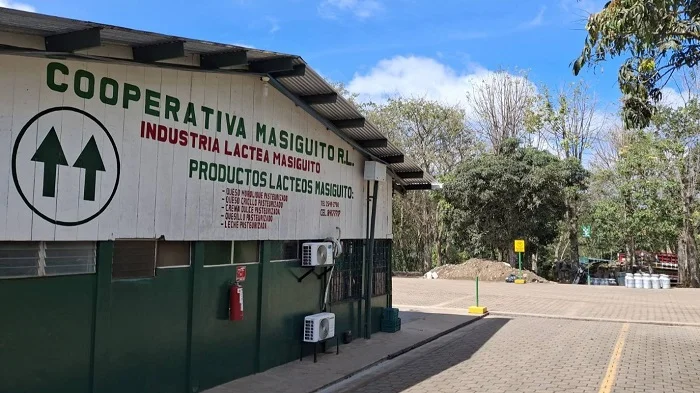 Productores de Camoapa afectados por reducción en acopio de leche